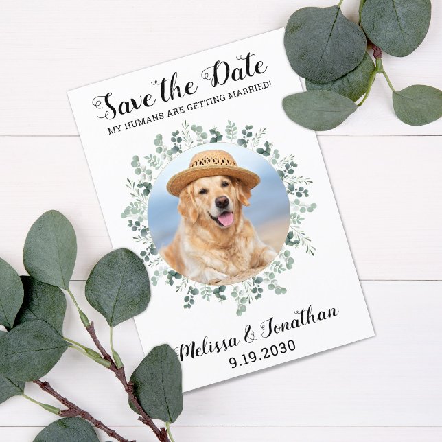 My Humans Are Getting Married Eucalyptus Pet Dog S Save The Date (Creator Uploaded)