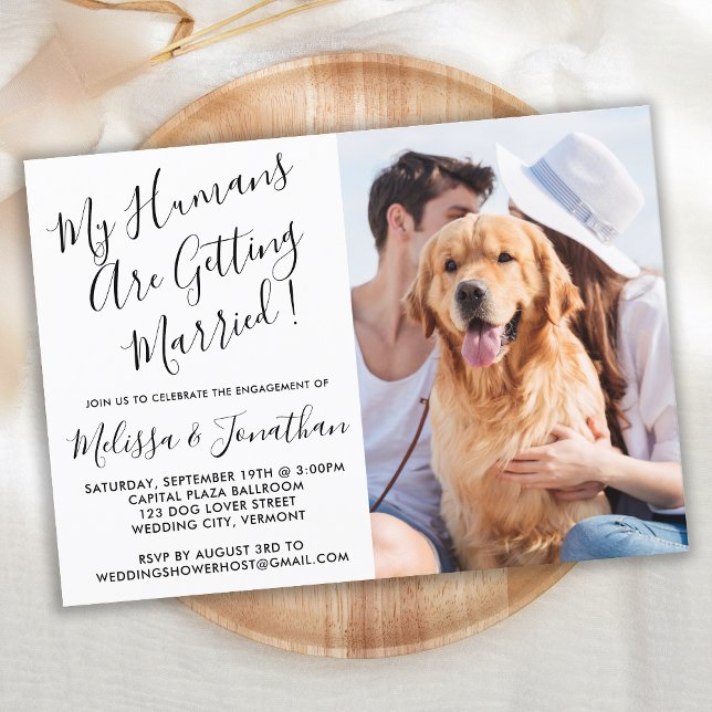 My Humans Are Getting Married Pet Engagement Party Invitation Postcard (Creator Uploaded)