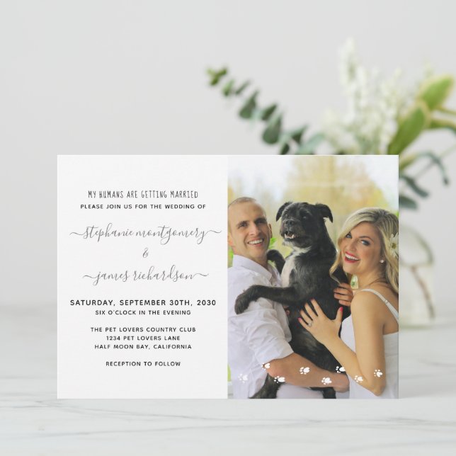 My Humans Are Getting Married Pet Photo Wedding Invitation (Standing Front)