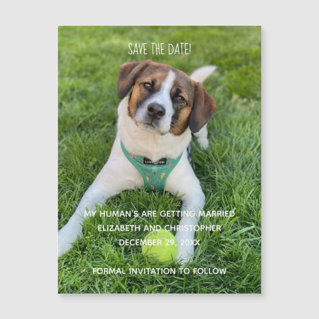 My Human's Are Getting Married Photo Save the Date (Front)