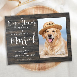 My Humans Are Getting Married Rustic Dog Wedding Announcement Postcard