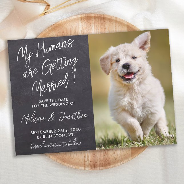 My Humans Are Getting Married Rustic Pet Photo Dog Save The Date (Creator Uploaded)