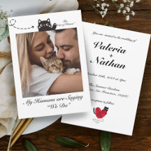 My Humans are Saying We Do Cat Photo