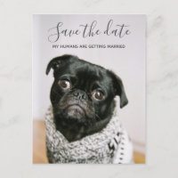My Humans Getting Married Dog Photo Save The Date