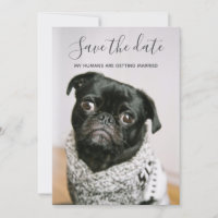 My Humans Getting Married Dog Photo Save The Date