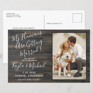 My Humans Getting Married Pet Photo Dog Wedding
