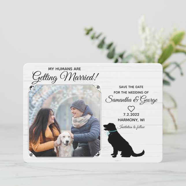 My Humans Getting Married-Pet Save the Date Invitation (Standing Front)