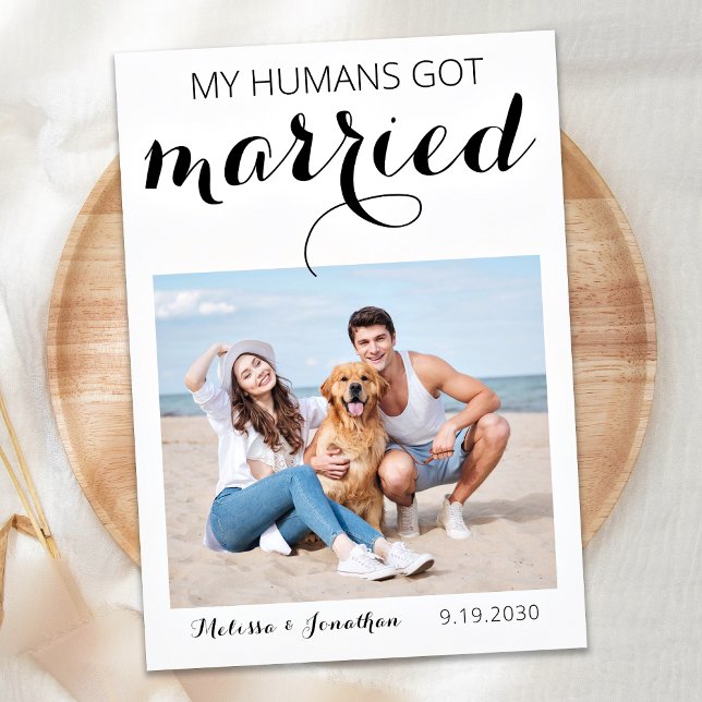 My Humans Got Married Dog Elopement Announcement (Creator Uploaded)