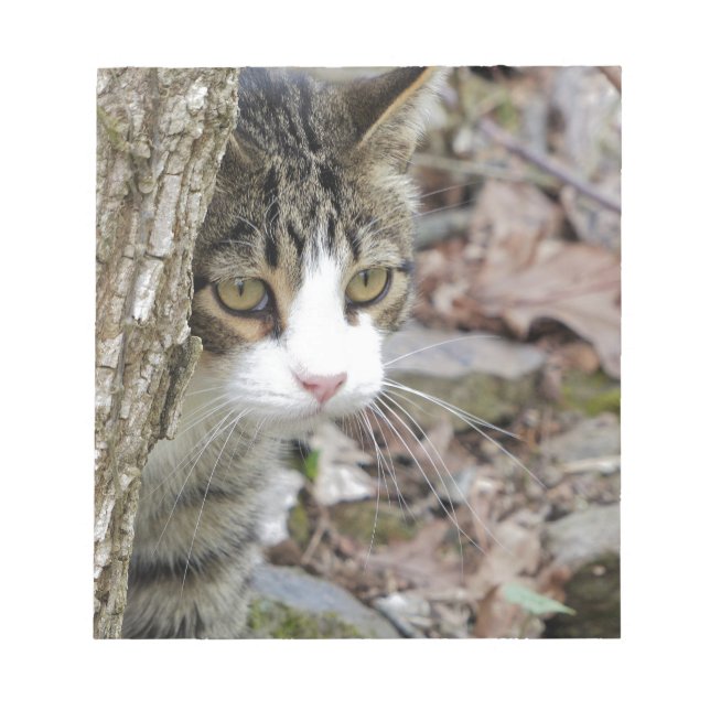 My Hunting Cat Notepad (Front)