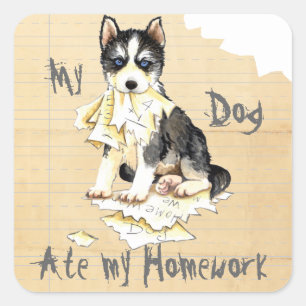 My Husky Ate my Homework Square Sticker