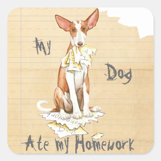 My Ibizan Hound Ate My Homework Square Sticker (Front)