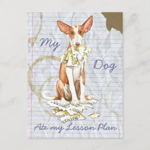 My Ibizan Hound Ate My Lesson Plan Postcard