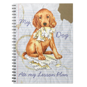 My Irish Setter Ate My Lesson Plan Notebook