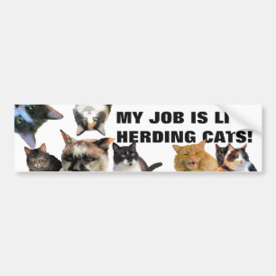 mY jOB IS lIKE hERDING cATS! Bumper Sticker