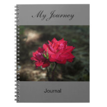 My Journey - journal
