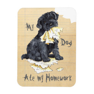 My Kerry Ate My Homework Magnet