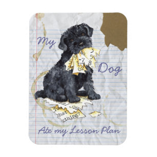 My Kerry Ate My Lesson Plan Magnet