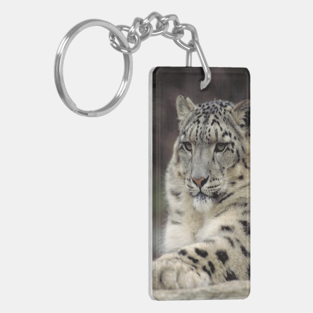 My Keys... Key Ring (Front Left)