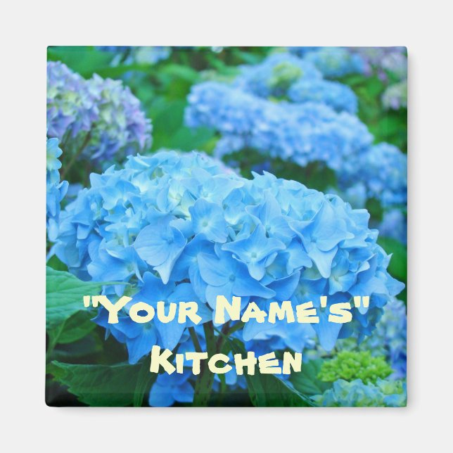 My Kitchen! magnets Blue Hydrangea Flowers (Front)