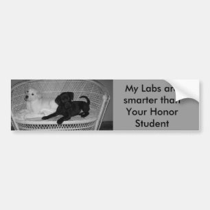 My Labs are smarter bumper sticker