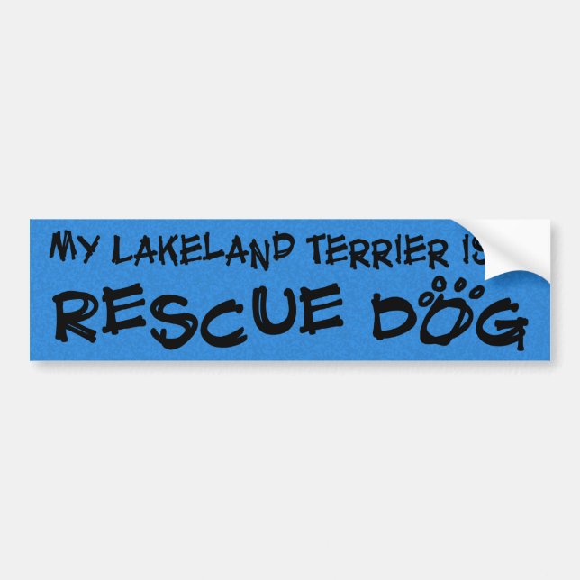 My Lakeland Terrier is a Rescue Dog Bumper Sticker (Front)