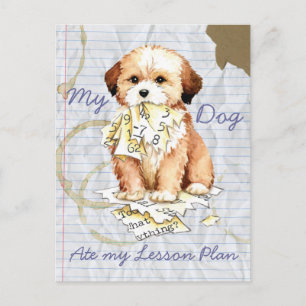 My Lhasa Apso Ate my Lesson Plan Postcard