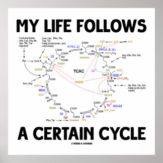 My Life Follows A Certain Cycle (Krebs Cycle) Poster