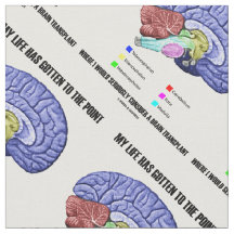 My Life Gotten To Point Consider Brain Transplant