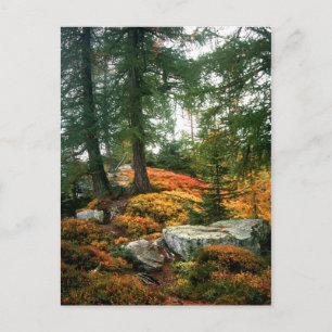 MY LIFE IS NOT THIS VERTICAL HOUR POSTCARD