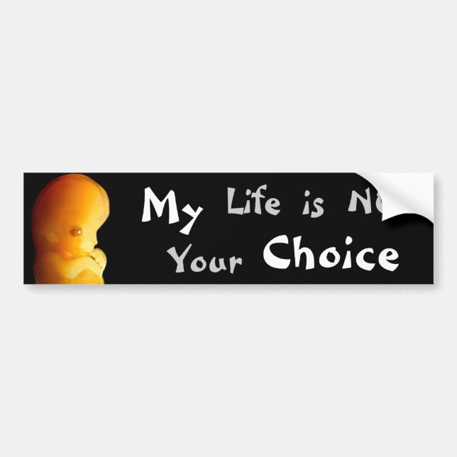 My (Life is NOT Your) Choice Bumper Sticker (Front)