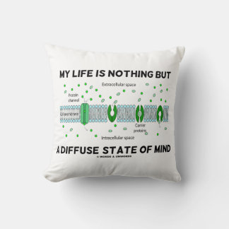 My Life Is Nothing But A Diffuse State Of Mind Cushion