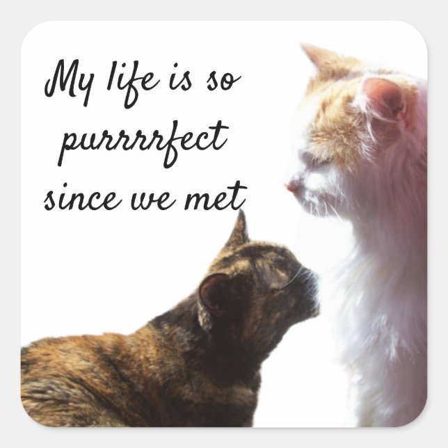 My Life is Purrfect Photo of Two Cats Square Sticker (Front)