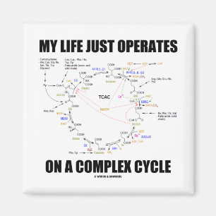 My Life Just Operates On A Complex Cycle (Krebs) Magnet