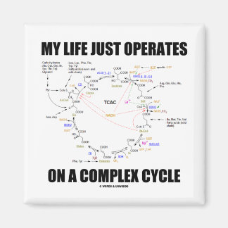 My Life Just Operates On A Complex Cycle (Krebs) Magnet