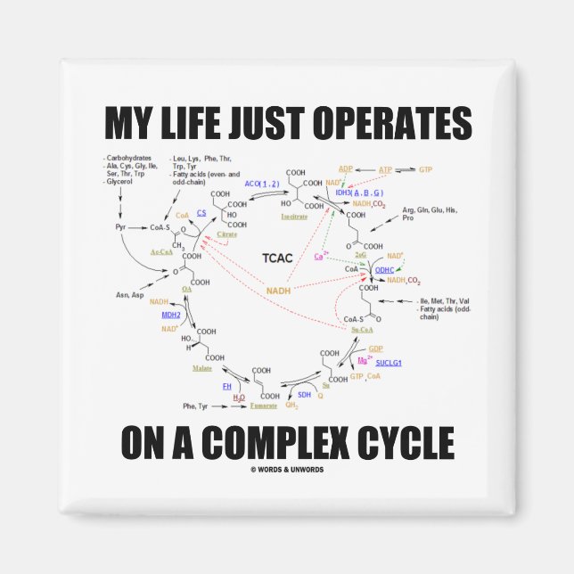 My Life Just Operates On A Complex Cycle (Krebs) Magnet (Front)
