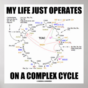 My Life Just Operates On A Complex Cycle (Krebs) Poster