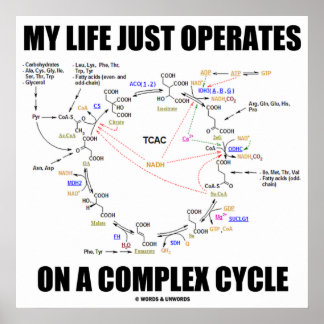 My Life Just Operates On A Complex Cycle (Krebs) Poster