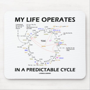 My Life Operates In A Predictable Cycle (Krebs) Mouse Mat