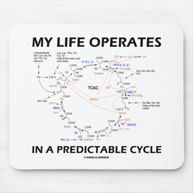 My Life Operates In A Predictable Cycle (Krebs) Mouse Mat (Front)