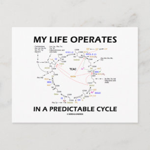 My Life Operates In A Predictable Cycle (Krebs) Postcard