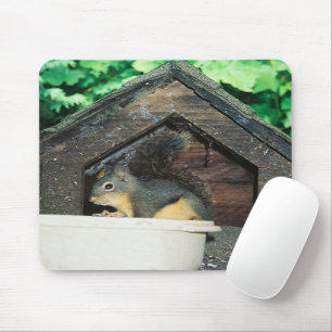 My lil' friend..... mouse mat