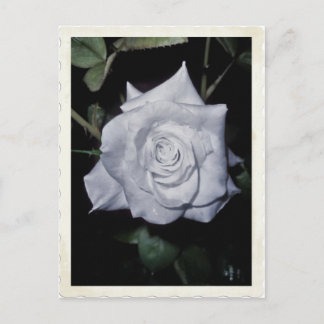 My Little Blue Princess Postcard