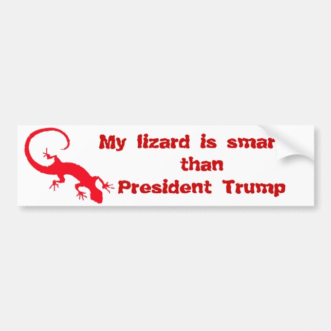 My lizard is smarter than President Trump Bumper Sticker (Front)
