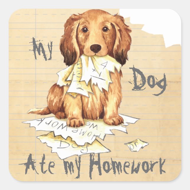 My Longhaired Dachshund Ate my Homework Square Sticker (Front)