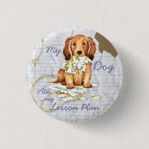 My Longhaired Dachshund Ate my Lesson Plan 3 Cm Round Badge