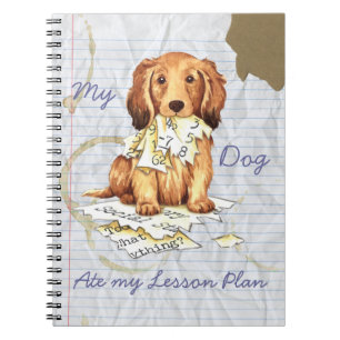 My Longhaired Dachshund Ate my Lesson Plan Notebook