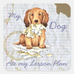 My Longhaired Dachshund Ate my Lesson Plan Square Sticker