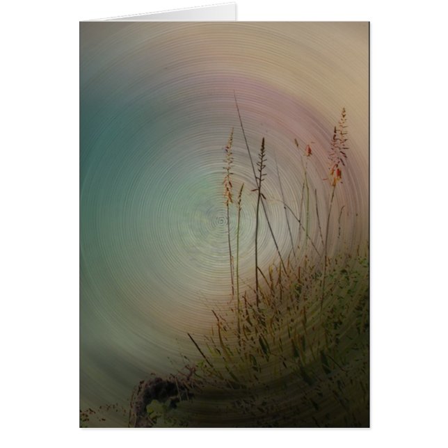 My Love for you (Front)