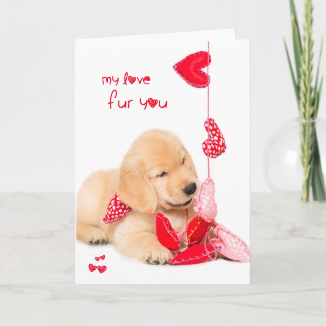 My love fur you golden retriever puppy valentine holiday card (Front)