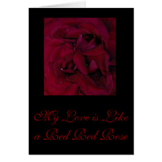 My Love is Like a Red Red Rose
